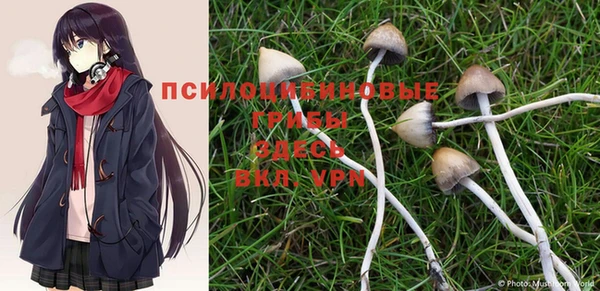 PSILOCYBIN Абаза